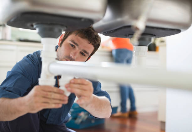 Best Plumbing Inspection Services  in Frisco City, AL